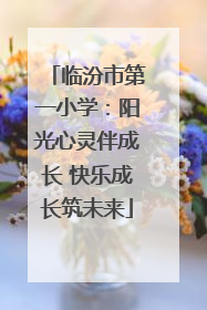 临汾市第一小学：阳光心灵伴成长 快乐成长筑未来