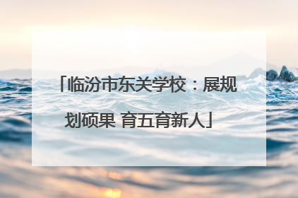 临汾市东关学校：展规划硕果 育五育新人