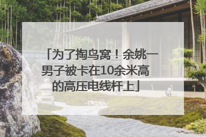 为了掏鸟窝！余姚一男子被卡在10余米高的高压电线杆上