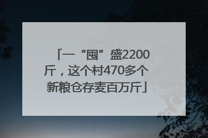 一“囤”盛2200斤，这个村470多个新粮仓存麦百万斤