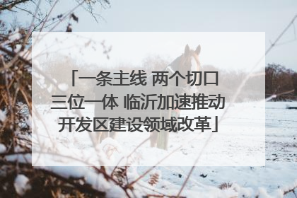 一条主线 两个切口 三位一体 临沂加速推动开发区建设领域改革
