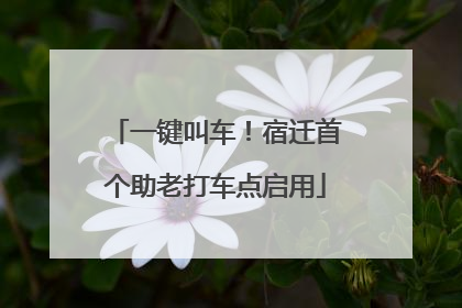 一键叫车！宿迁首个助老打车点启用