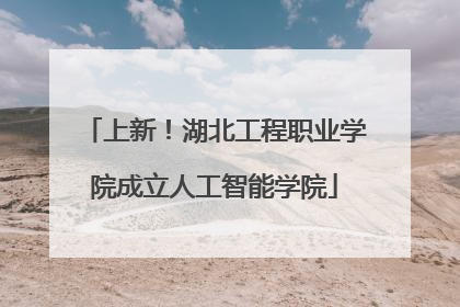 上新！湖北工程职业学院成立人工智能学院