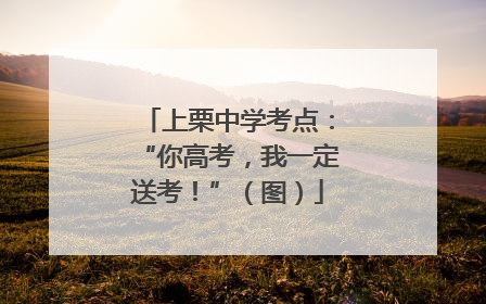 上栗中学考点：“你高考，我一定送考！”（图）