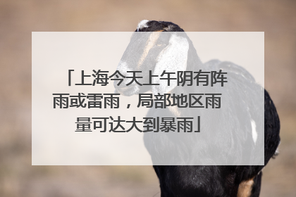 上海今天上午阴有阵雨或雷雨，局部地区雨量可达大到暴雨