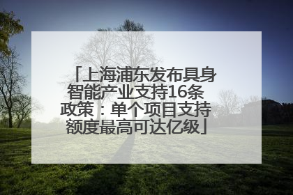 上海浦东发布具身智能产业支持16条政策：单个项目支持额度最高可达亿级