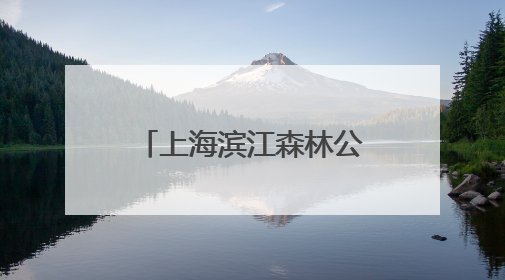上海滨江森林公园绣球花展启幕，近5万株绣球花海打造治愈系画面
