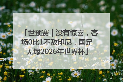 世预赛｜没有惊喜，客场0比1不敌印尼，国足无缘2026年世界杯