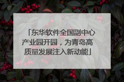 东华软件全国副中心产业园开园，为青岛高质量发展注入新动能