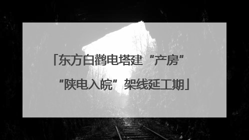 东方白鹳电塔建“产房” “陕电入皖”架线延工期