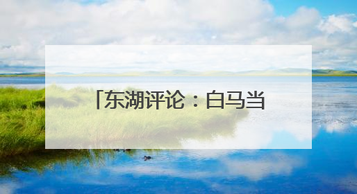 东湖评论：白马当选“湖北好人”，是对动物伙伴道德价值的深情褒奖