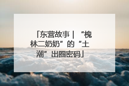 东营故事｜“槐林二奶奶”的“土潮”出圈密码