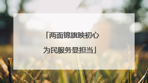 两面锦旗映初心 为民服务显担当