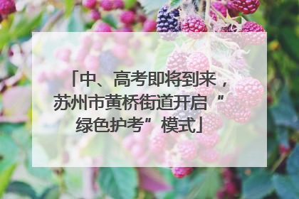 中、高考即将到来，苏州市黄桥街道开启“绿色护考”模式