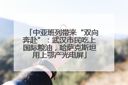 中亚班列带来“双向奔赴”：武汉市民吃上国际粮油，哈萨克斯坦用上鄂产光电屏