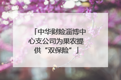 中华财险淄博中心支公司为果农提供“双保险”