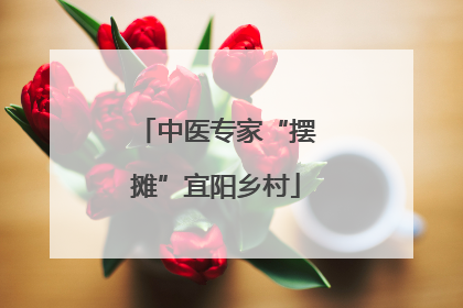 中医专家“摆摊”宜阳乡村