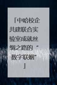 中哈校企共建联合实验室成就丝绸之路的“数字联姻”