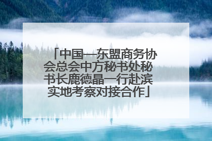中国—东盟商务协会总会中方秘书处秘书长鹿德晶一行赴滨实地考察对接合作