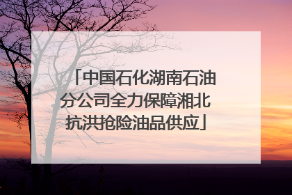 中国石化湖南石油分公司全力保障湘北抗洪抢险油品供应