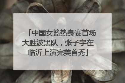 中国女篮热身赛首场大胜波黑队，张子宇在临沂上演完美首秀