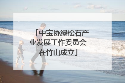 中宝协绿松石产业发展工作委员会在竹山成立