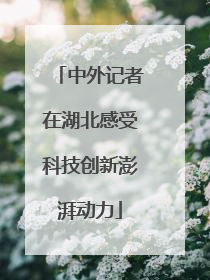 中外记者在湖北感受科技创新澎湃动力