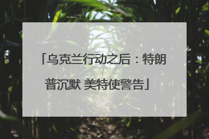 乌克兰行动之后：特朗普沉默 美特使警告