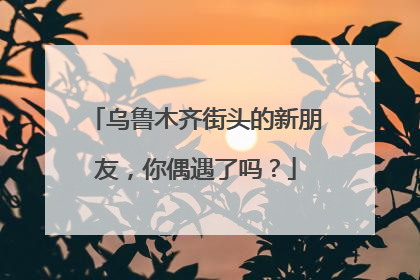 乌鲁木齐街头的新朋友，你偶遇了吗？