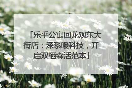 乐乎公寓回龙观东大街店：深系暖科技，开启双栖森活范本