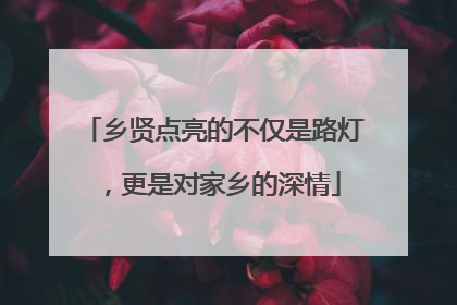 乡贤点亮的不仅是路灯，更是对家乡的深情
