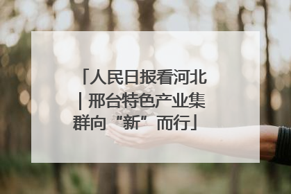人民日报看河北｜邢台特色产业集群向“新”而行