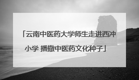 云南中医药大学师生走进西冲小学 播撒中医药文化种子