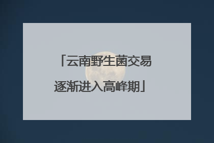 云南野生菌交易逐渐进入高峰期