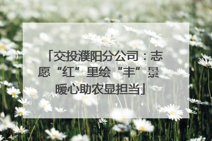 交投濮阳分公司：志愿“红”里绘“丰”景 暖心助农显担当