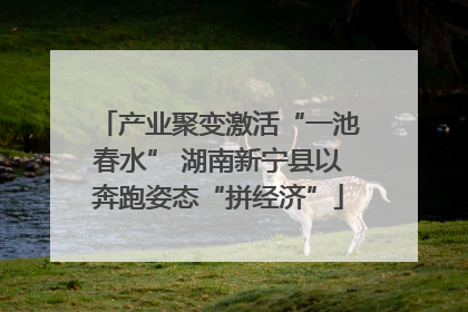 产业聚变激活“一池春水” 湖南新宁县以奔跑姿态“拼经济”