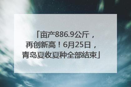 亩产886.9公斤，再创新高！6月25日，青岛夏收夏种全部结束