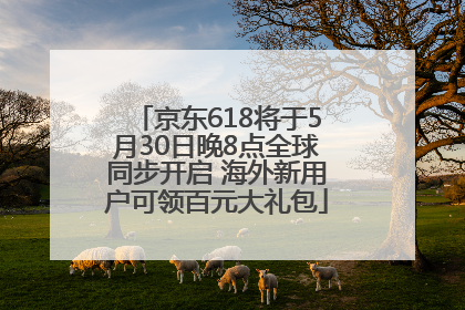 京东618将于5月30日晚8点全球同步开启 海外新用户可领百元大礼包