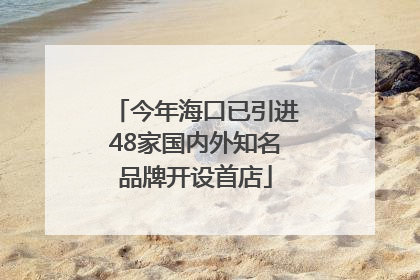 今年海口已引进48家国内外知名品牌开设首店