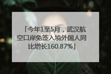 今年1至5月，武汉航空口岸免签入境外国人同比增长160.87%