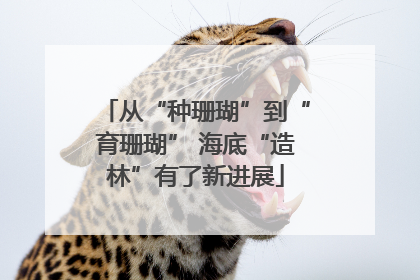 从“种珊瑚”到“育珊瑚” 海底“造林”有了新进展