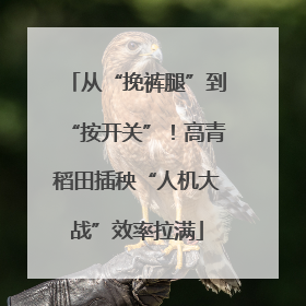 从“挽裤腿”到“按开关”！高青稻田插秧“人机大战”效率拉满