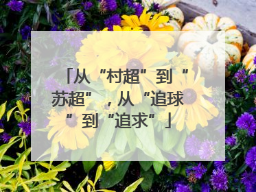 从“村超”到“苏超”，从“追球”到“追求”