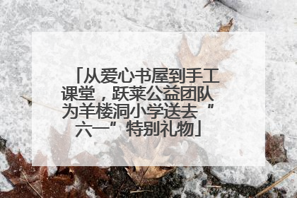 从爱心书屋到手工课堂，跃莱公益团队为羊楼洞小学送去“六一”特别礼物