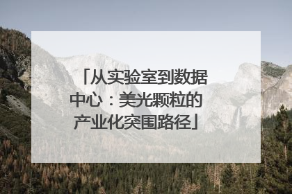 从实验室到数据中心：美光颗粒的产业化突围路径