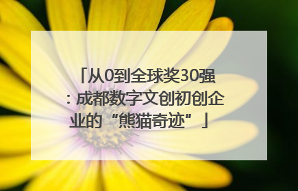 从0到全球奖30强：成都数字文创初创企业的“熊猫奇迹”