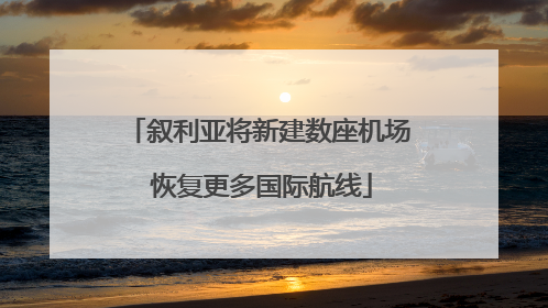 叙利亚将新建数座机场 恢复更多国际航线