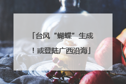 台风“蝴蝶”生成！或登陆广西沿海