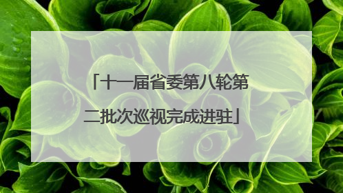 十一届省委第八轮第二批次巡视完成进驻