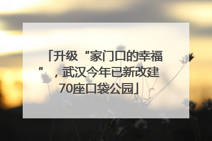 升级“家门口的幸福”，武汉今年已新改建70座口袋公园